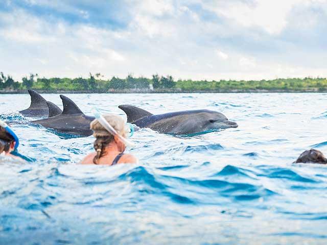 Zanzibar: Jozani Forest National Park and Dolphin Encounter